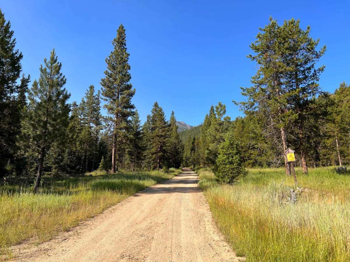 Porcupine Saddle photo 6