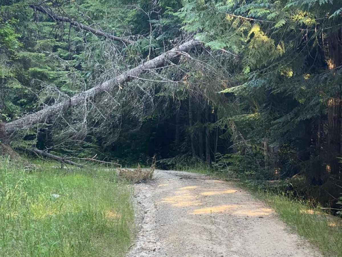 Little Bear trail photo