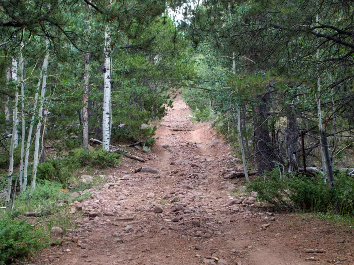 Fence Line - FS10568 photo 3
