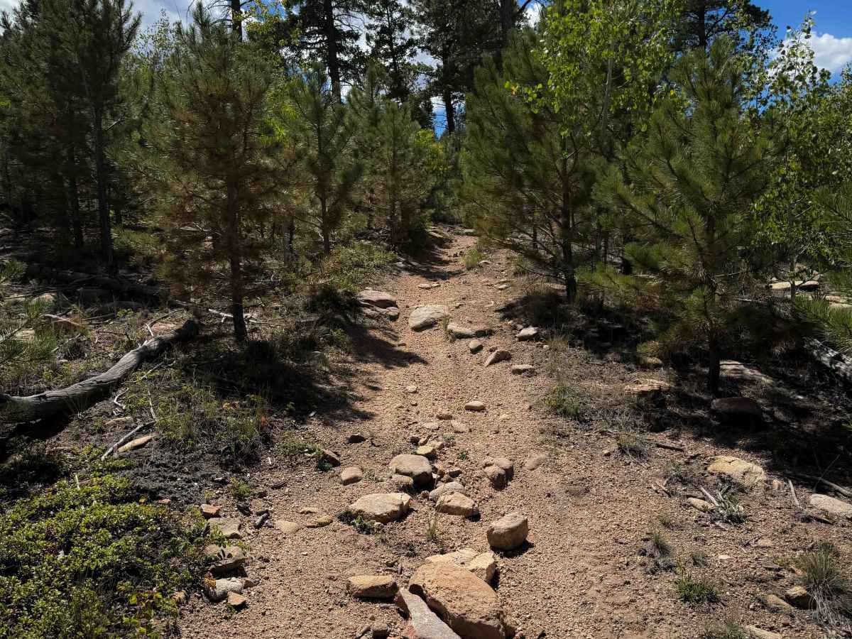 Trail 737  photo 2