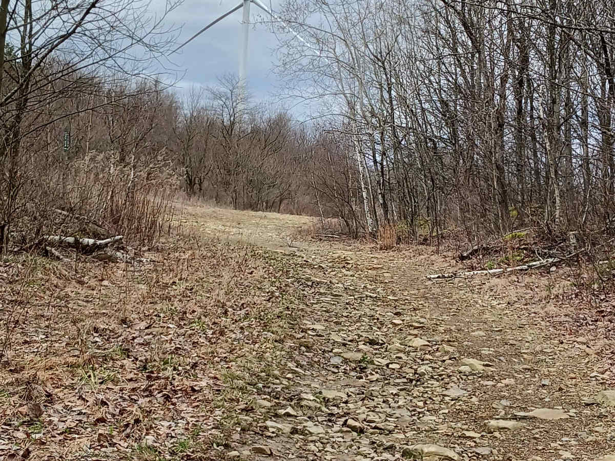 Rocky Run - Rock Run Recreation Area photo 4