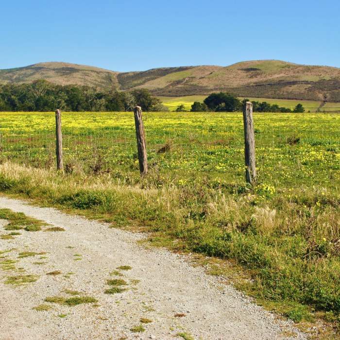 Near Cowell-Purisima Trail