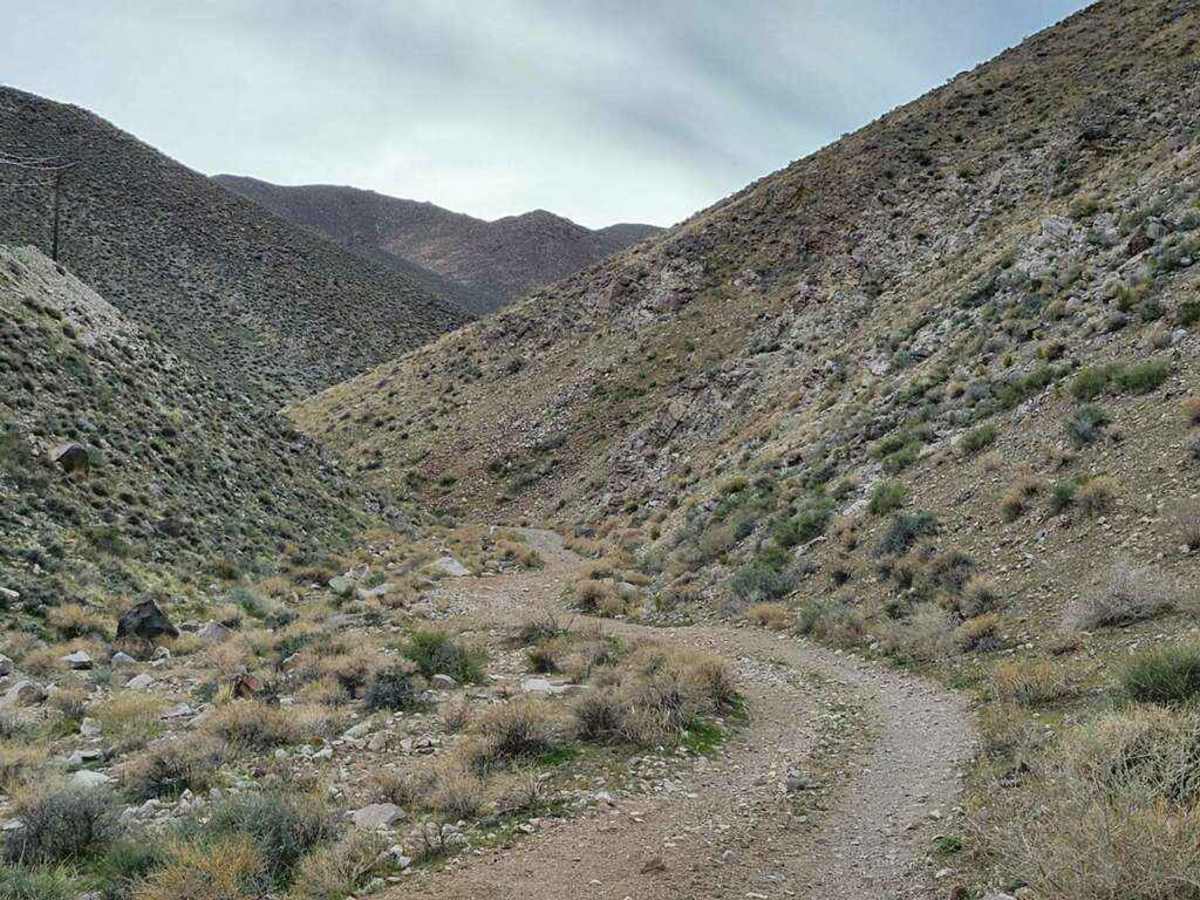 Hudson Pass trail photo