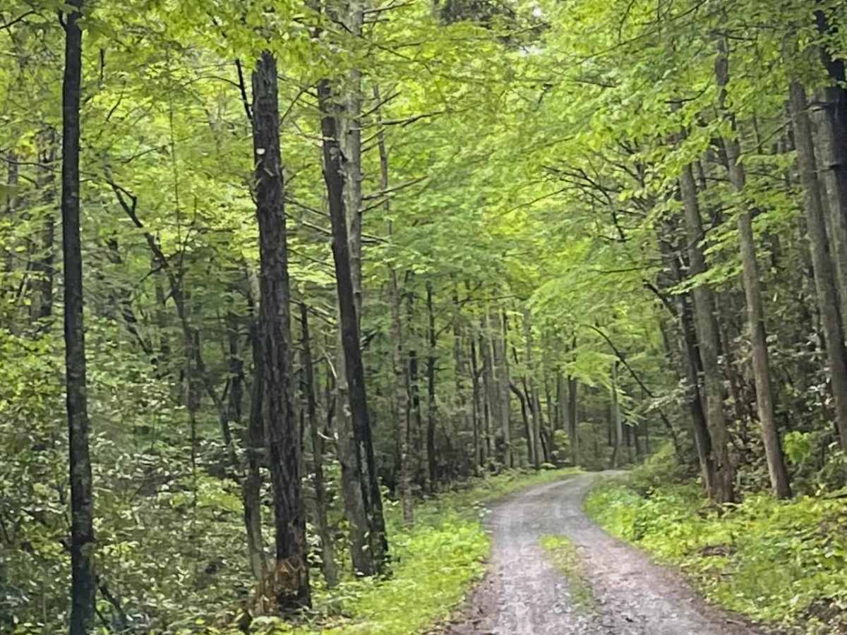 Glade Mountain  photo 2
