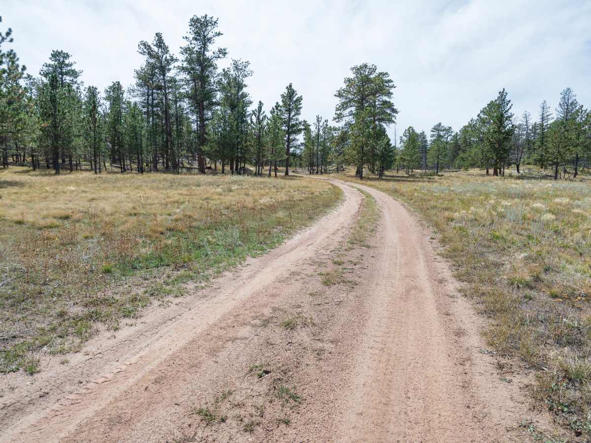 Forest Service Road 181A photo 2