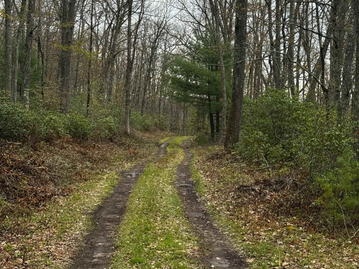 Naval Run Trail photo 3