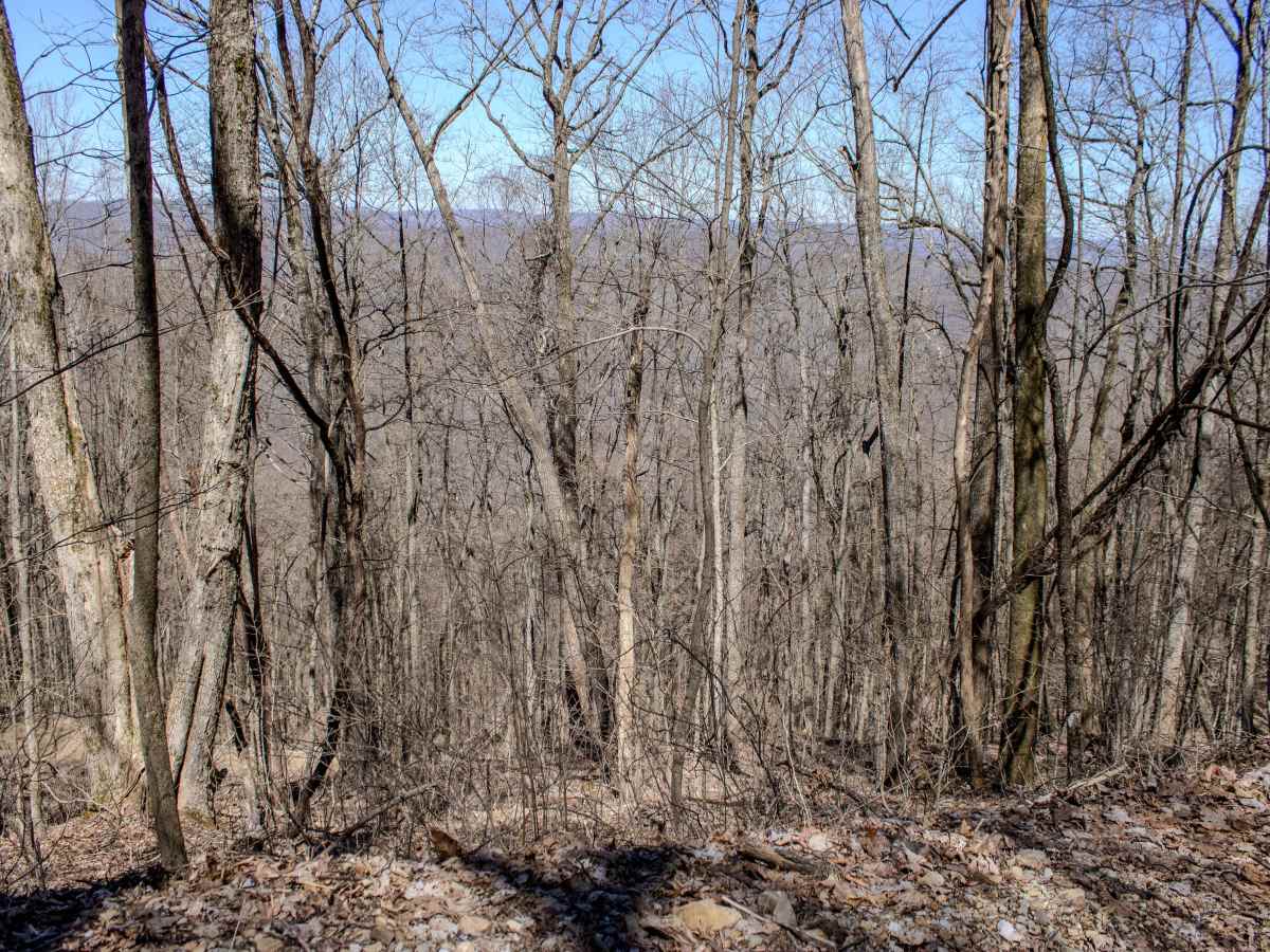 Cross Mountain Road photo 5
