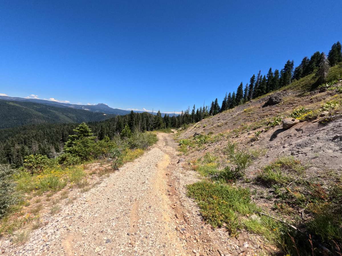 Fir Cap Trail - North Segment - 10E22 trail photo