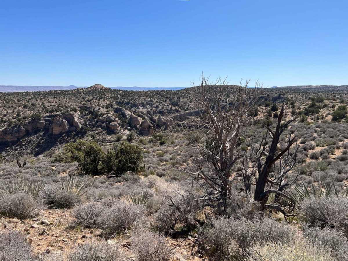 Hole-n-Wall Canyon - Segmiller Mountain photo 3