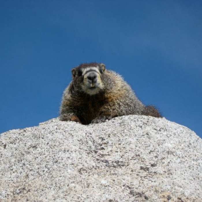 Near Mount Shavano and Tabeguache Peak