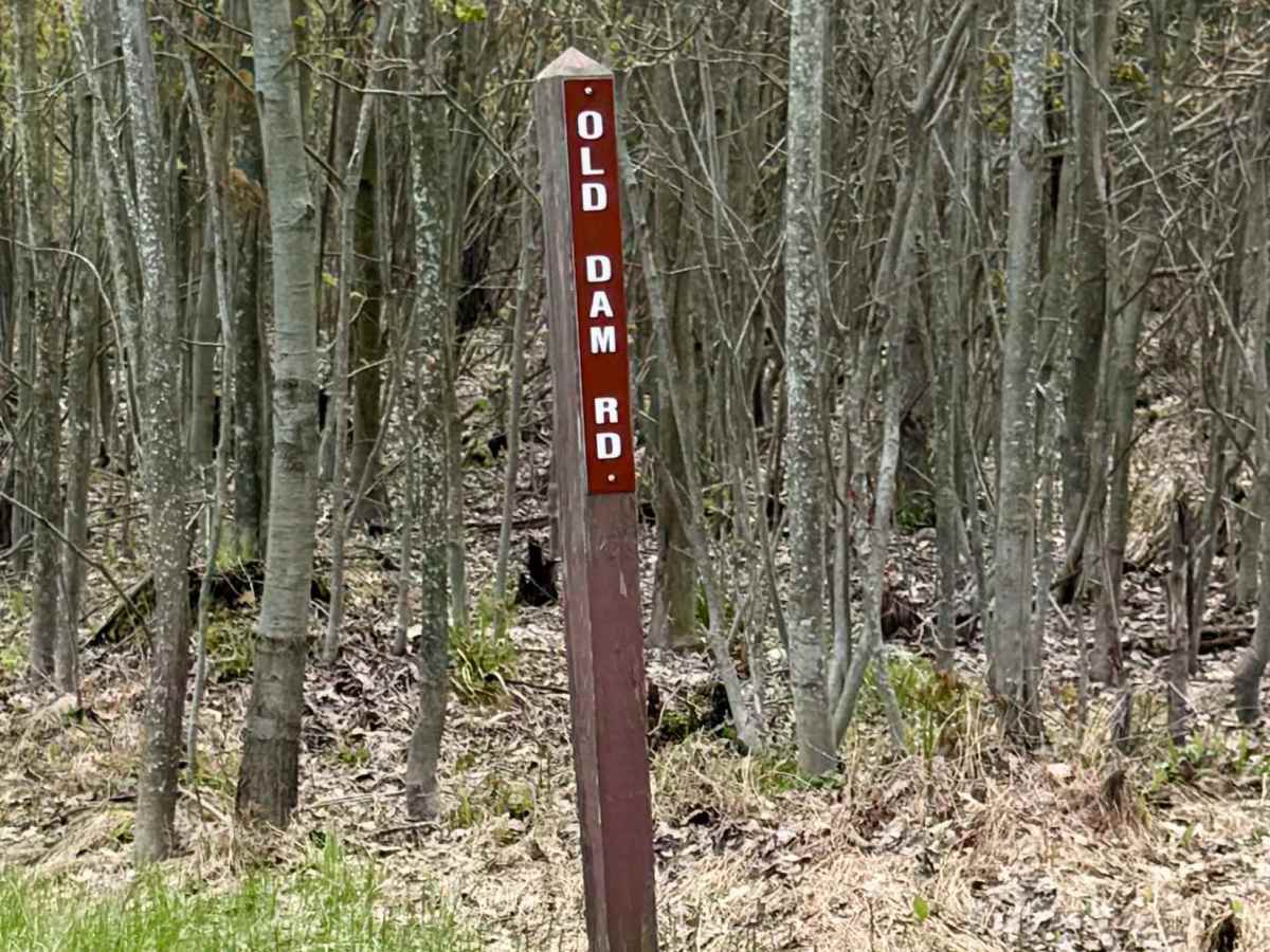 Old Dam Road trail photo