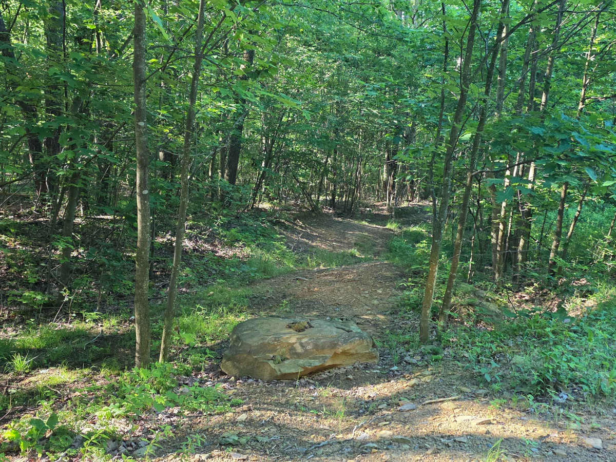 Single Track C5 photo 2