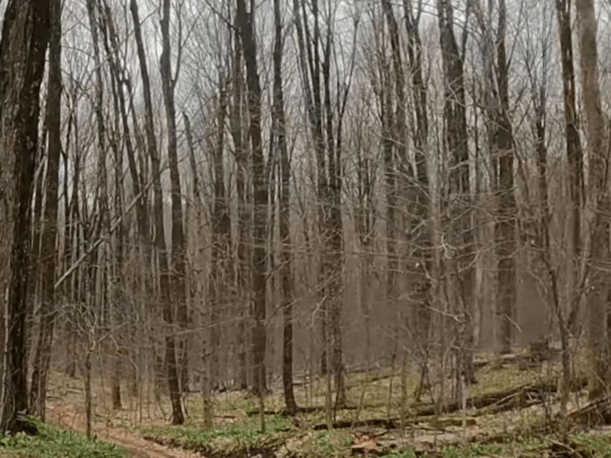 5647 photo 4