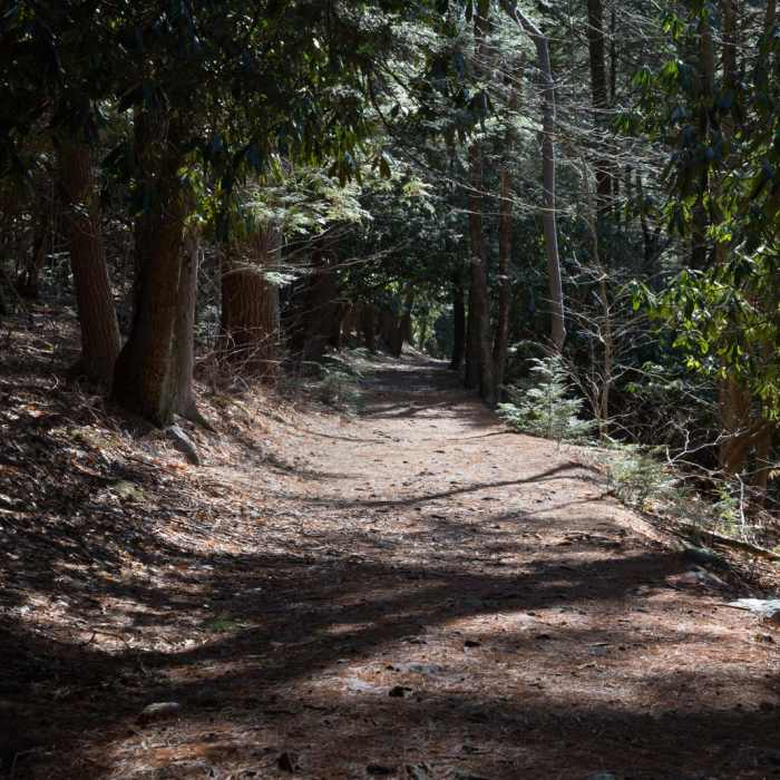 Near Sand Spring Trail