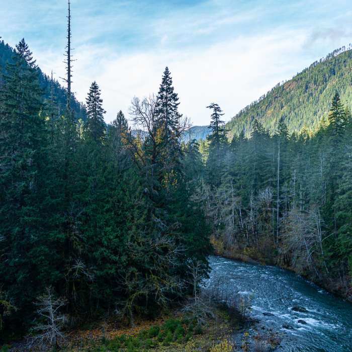 Near Staircase Rapids Loop