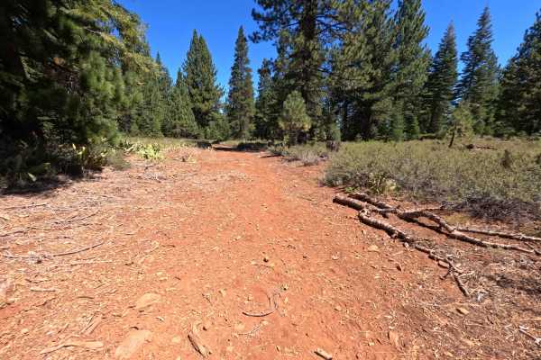 Holcombs Rd Spur - FS 0260-050