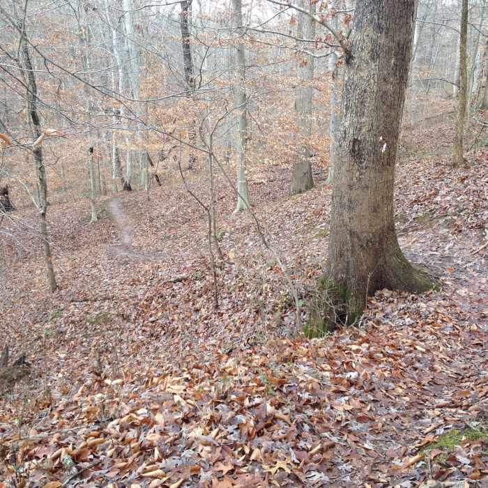 Near North Hills Trail (Western Section)