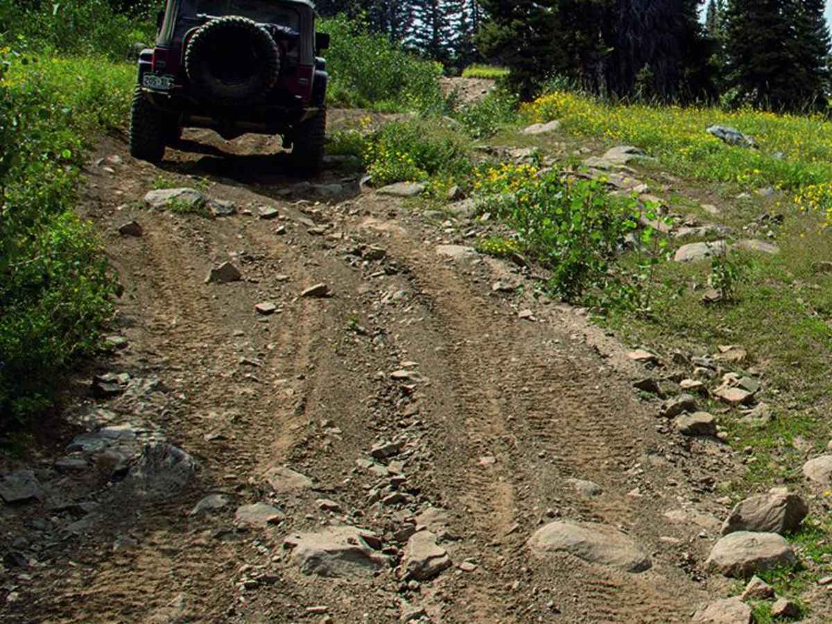 Elkhorn Mountain trail photo