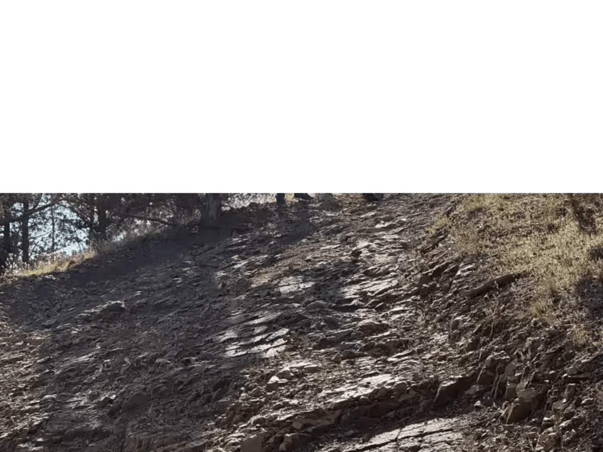 OHV Trail #10 photo 5