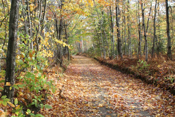 Stock Bridge Road to Woodstock
