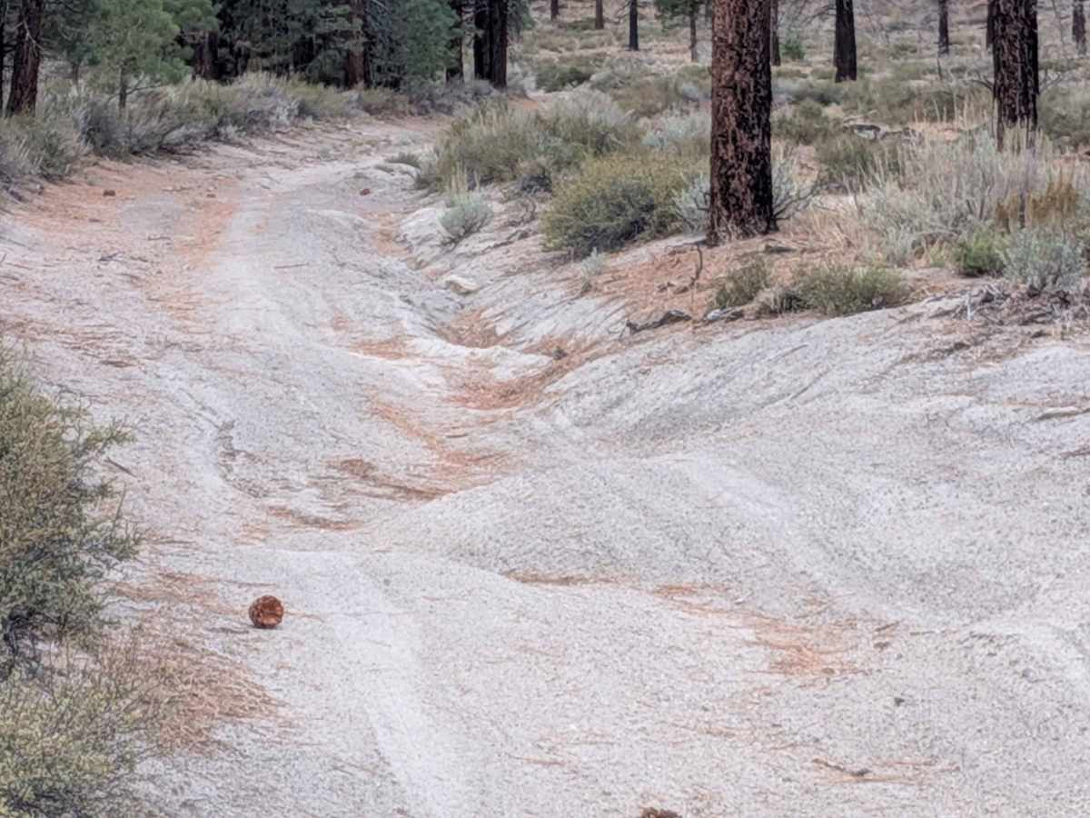 Pumice Canyon Cutoff - FS 3S42 photo 4
