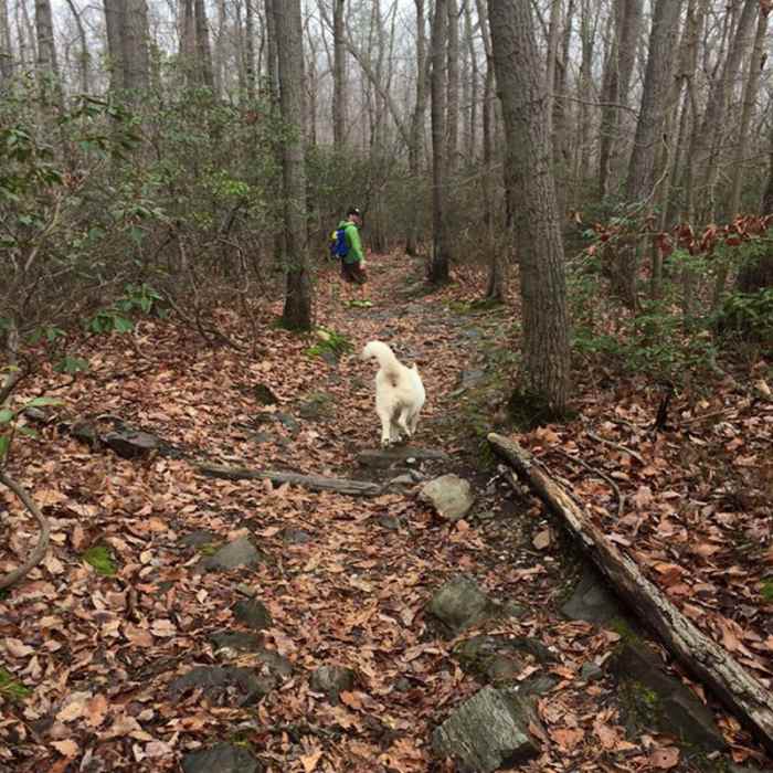 Near Gambrill State Park Loop