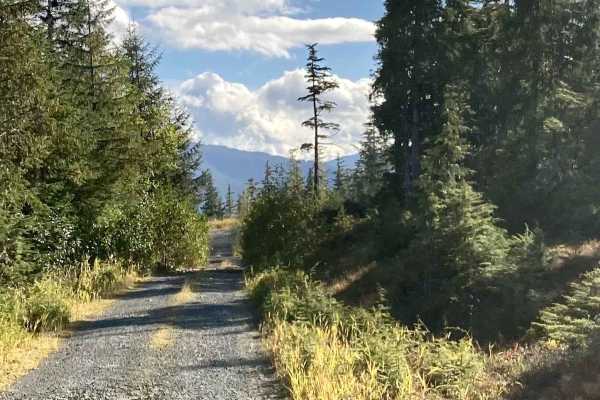 Canyon Spur Road - FS 3030200