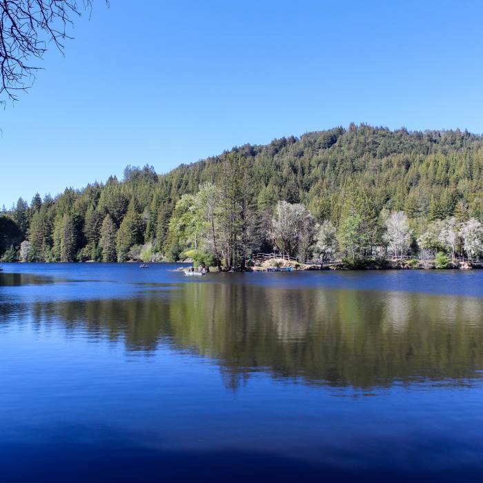 Near Loch Trail