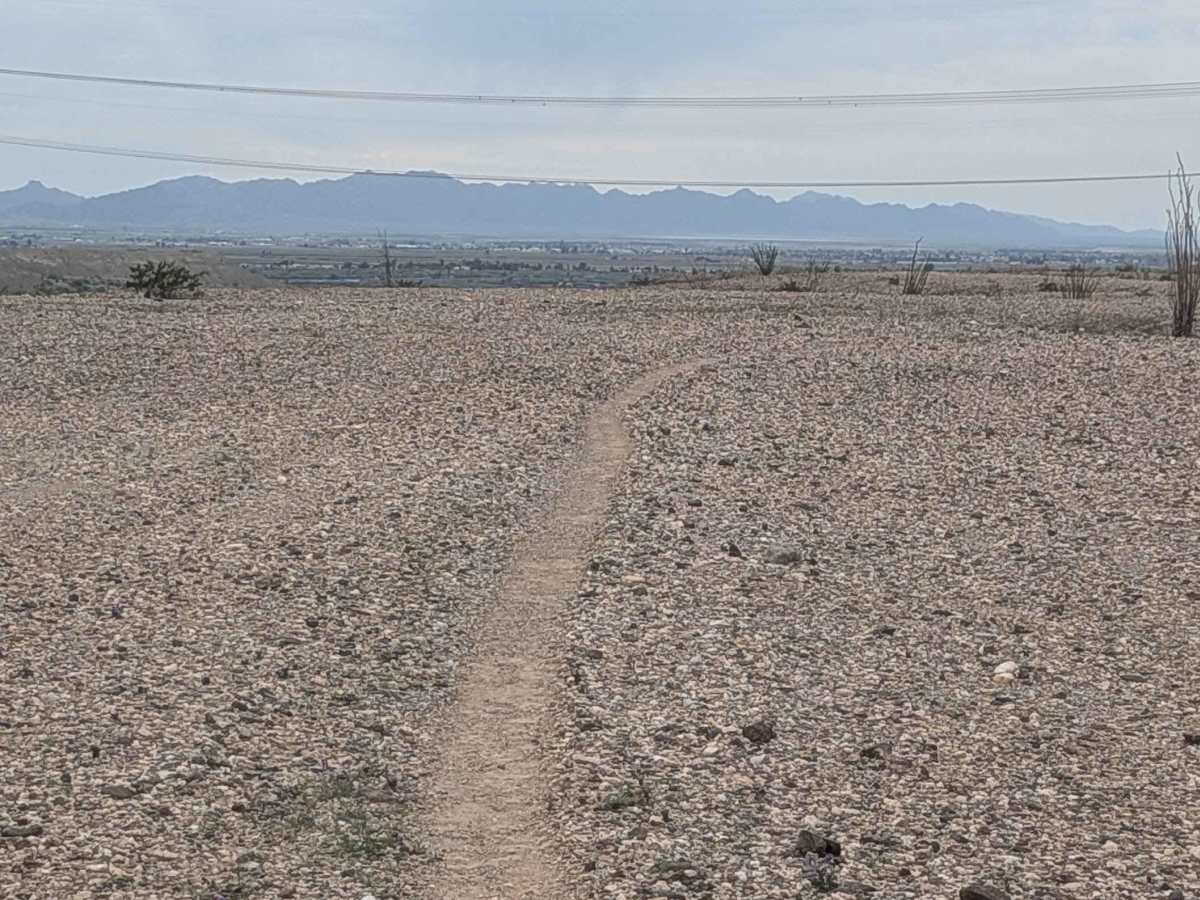 EC1231 trail photo