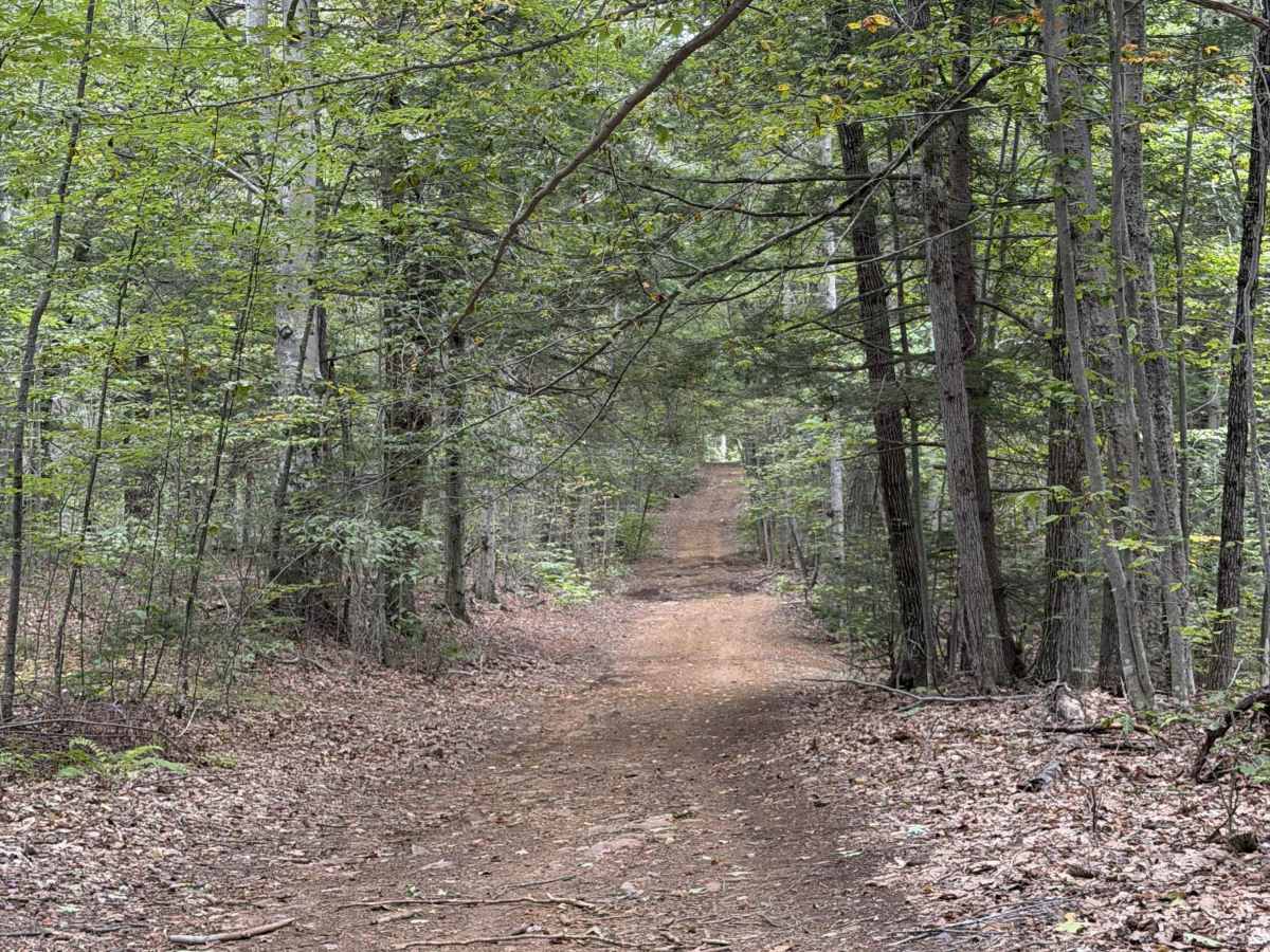 Jewett Road trail photo