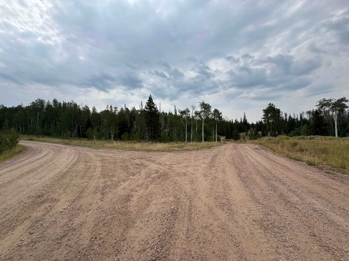 Reed Creek Road - FS 440  photo 4