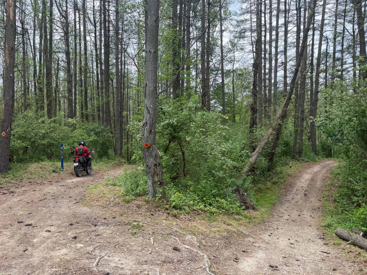 Lake View Trail photo 5