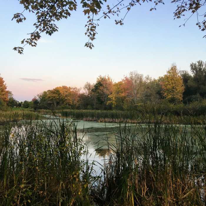 Birdsong nature walk has some nice pond-side spots for viewing the fall colors. Near Birdsong Nature Trail