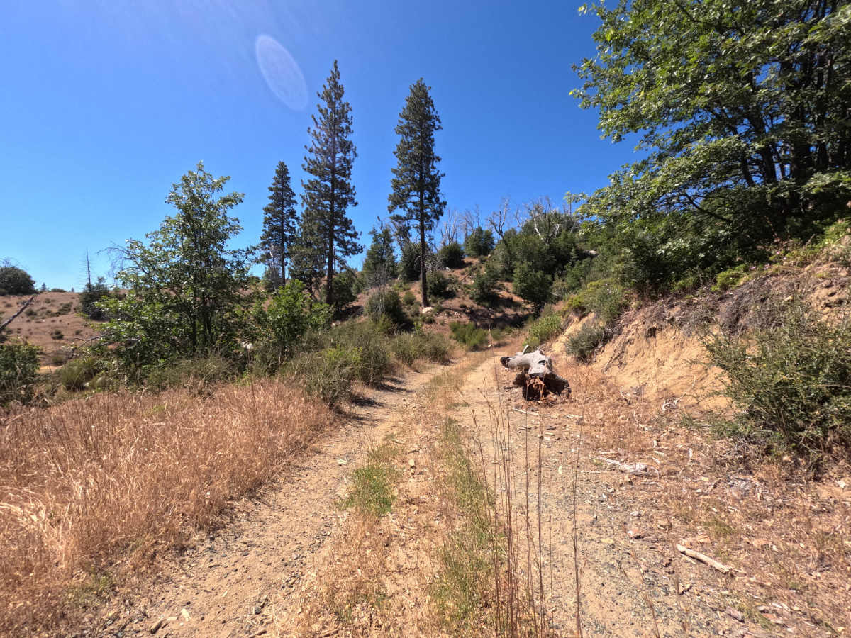 FS 1S24A photo 2