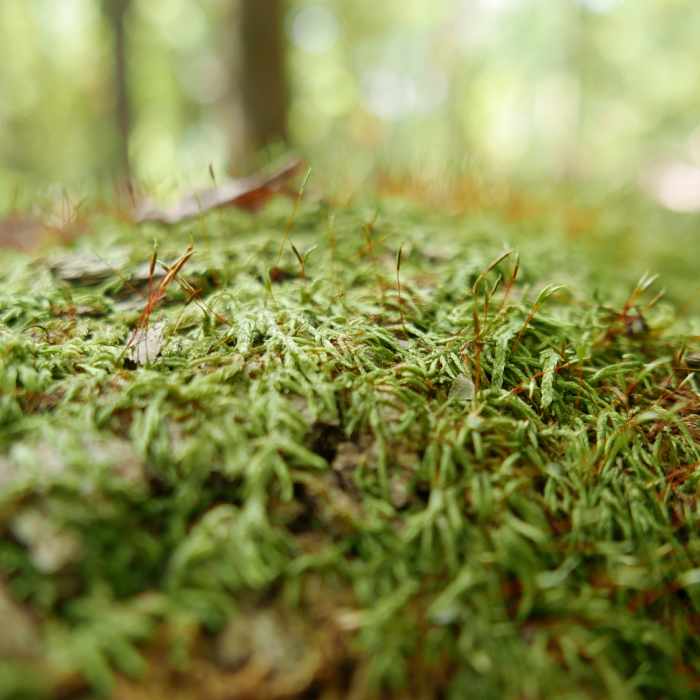 Near Blacklick Woods Metro Park