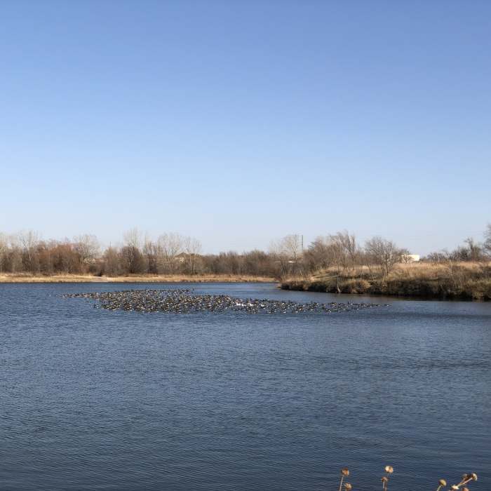 Near K-96 Path