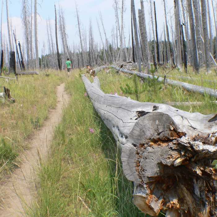 Near Pelican Valley Trail
