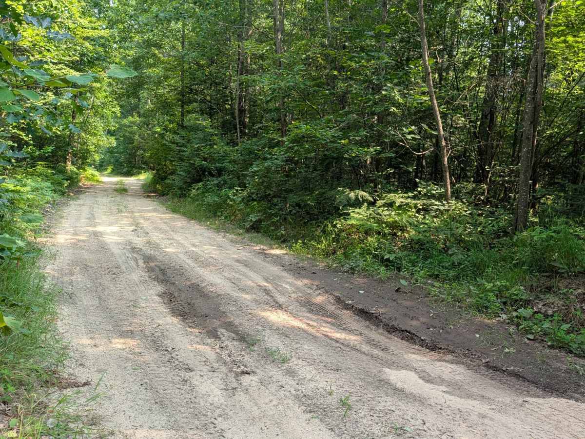 Walker Road photo 6