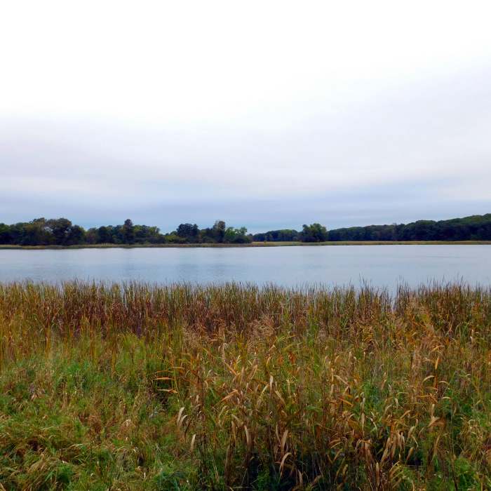 Near Bjorkland Lake Trail