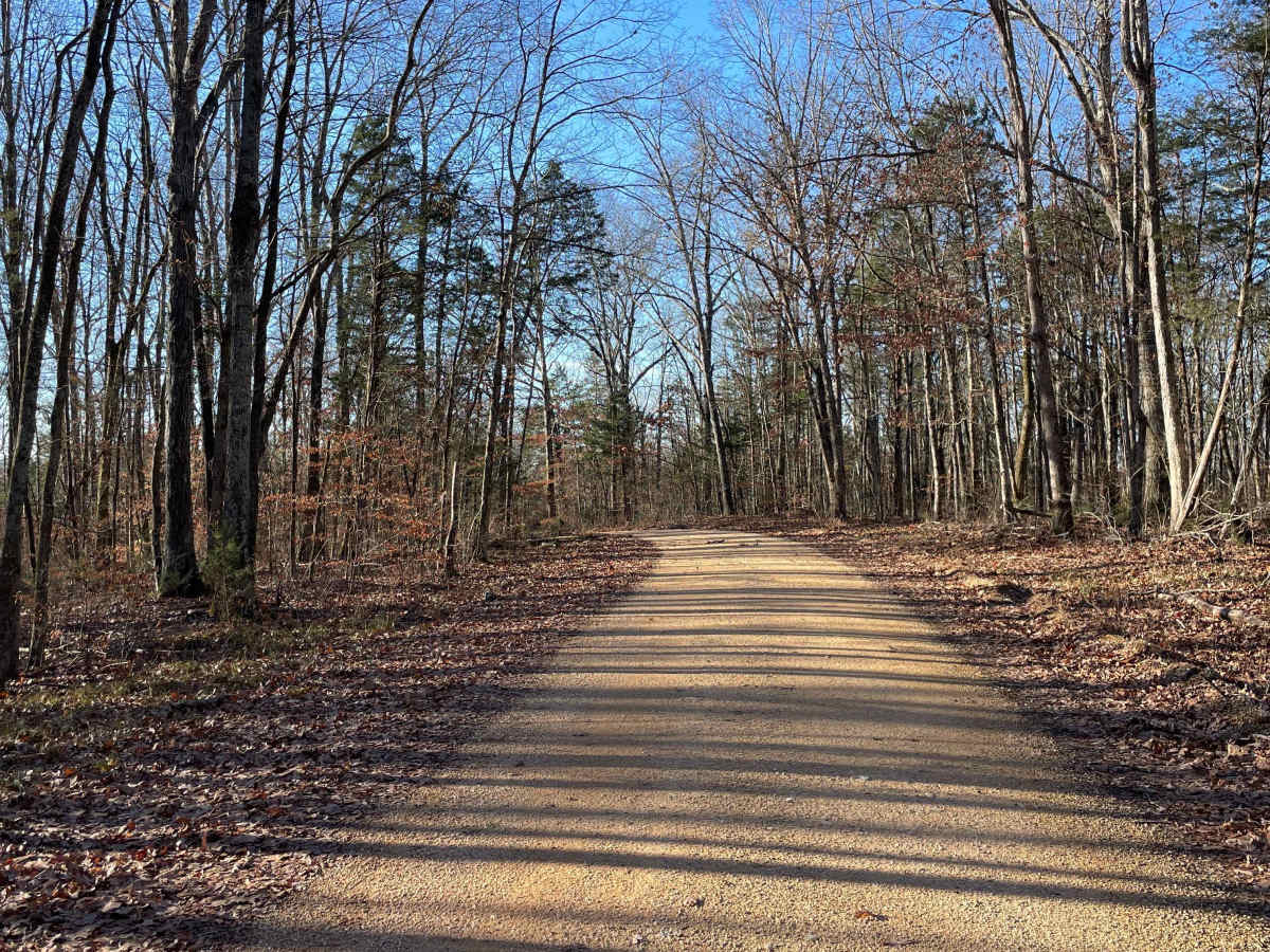 Cheek's Bend Road photo 4