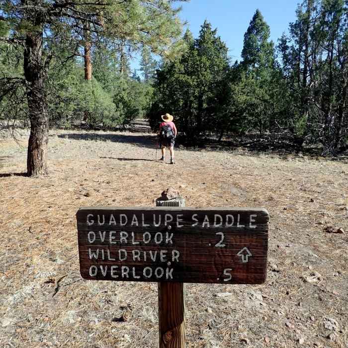 Near Guadalupe Mountain Trail