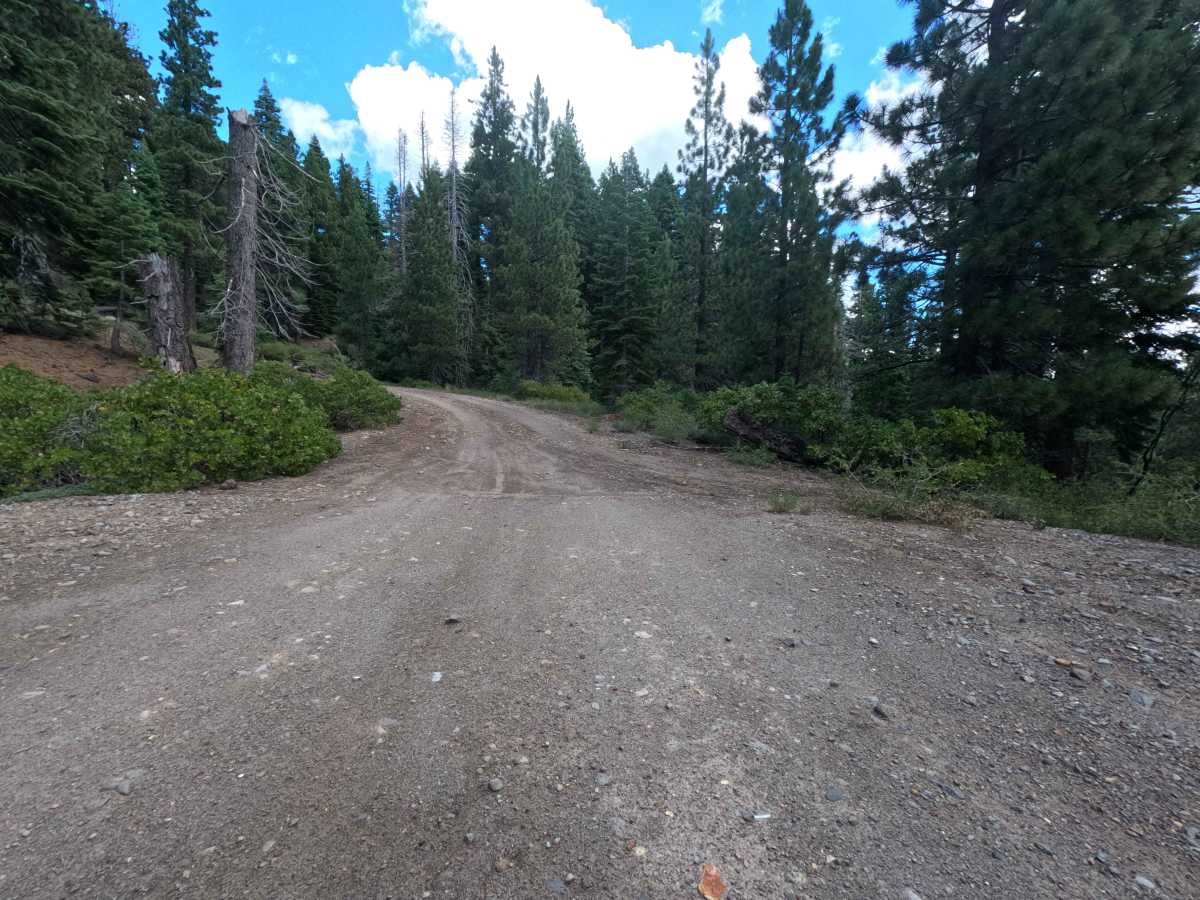 Pole Creek Spur - FS 5708-004 trail photo