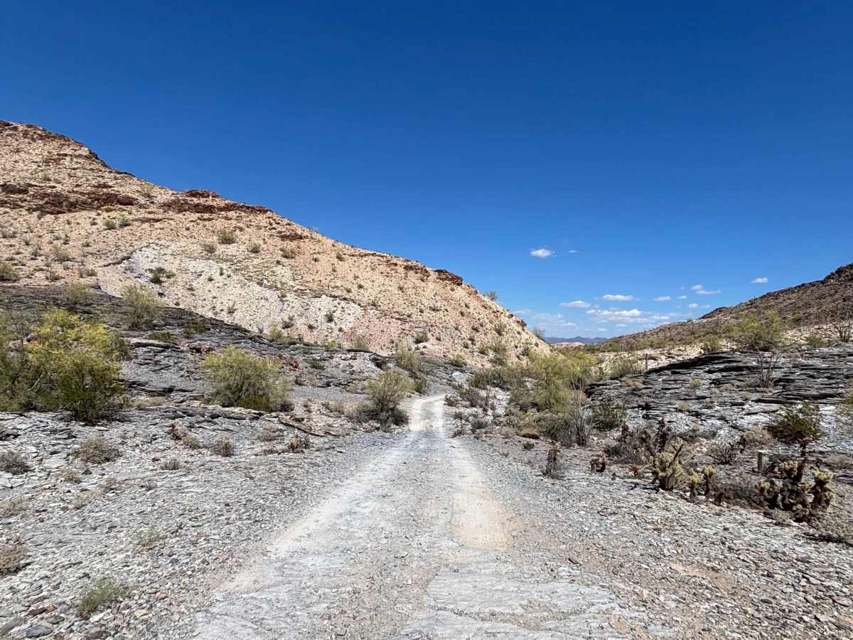 BLM 0130 photo 5