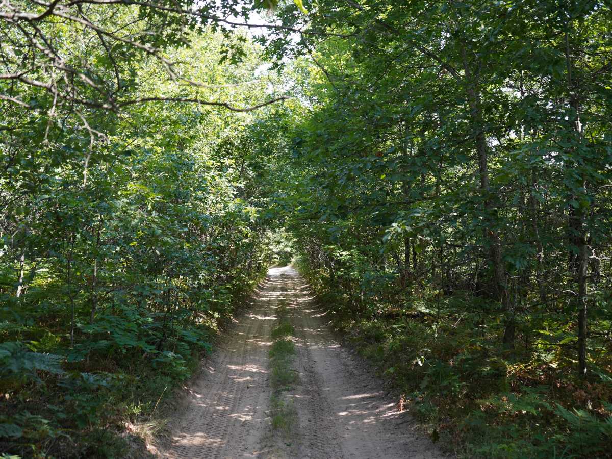 Center Plains Trail photo 6