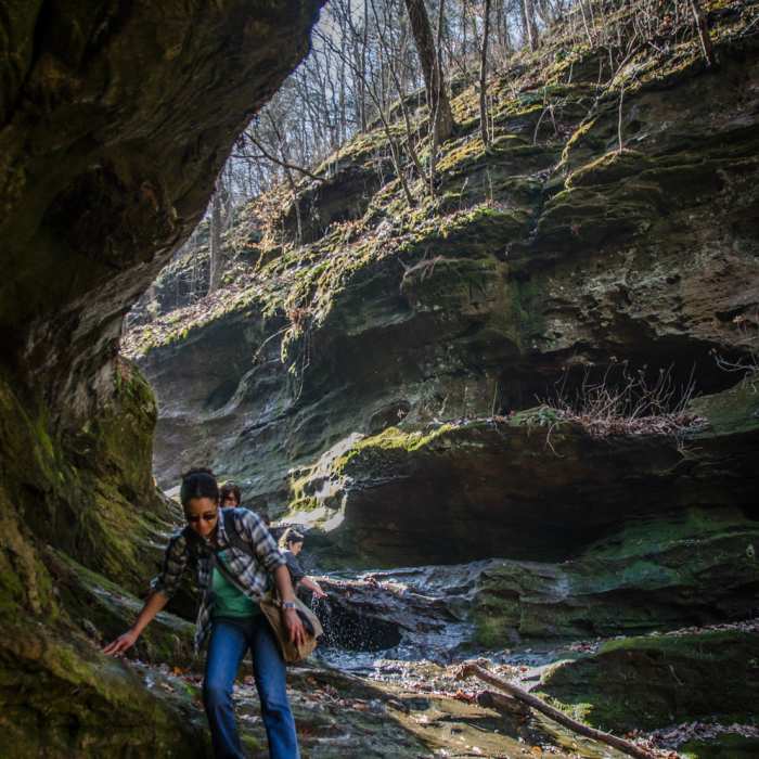 Near Little Grand Canyon Loop