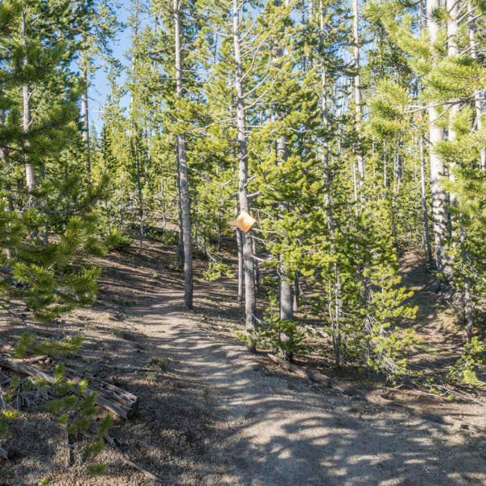 Near Little Gibbon Falls