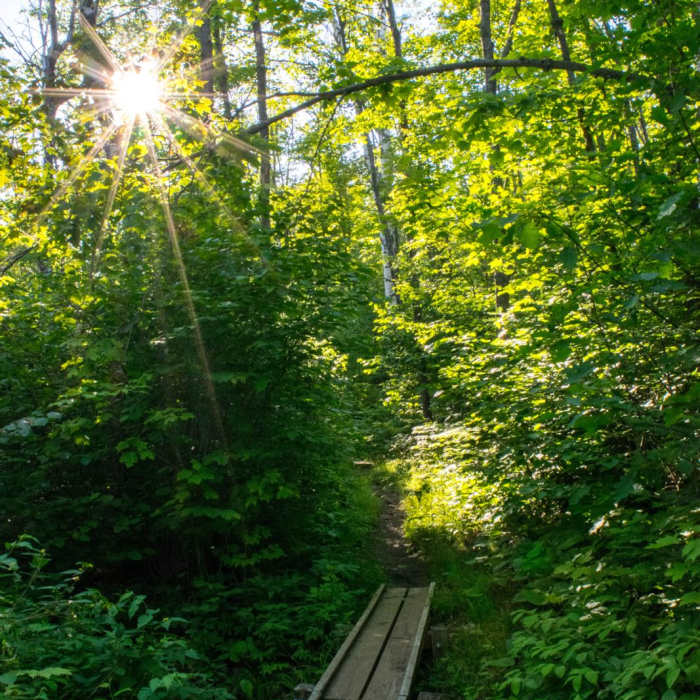 Near Superior Hiking Trail: Section 13 Near Superior Hiking Trail: Section 13