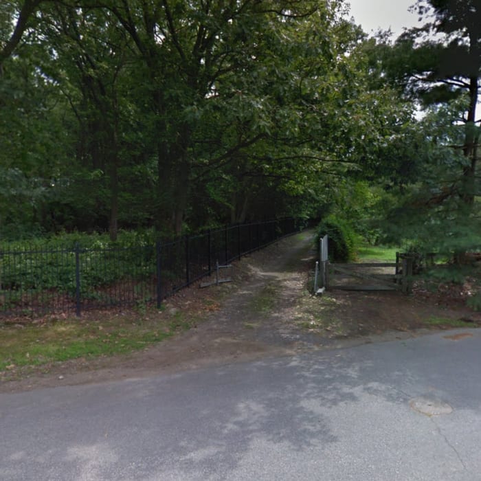 Northern entrance to area from Clovelly and Suffolk Rd Split Near Webster Conservation Loop