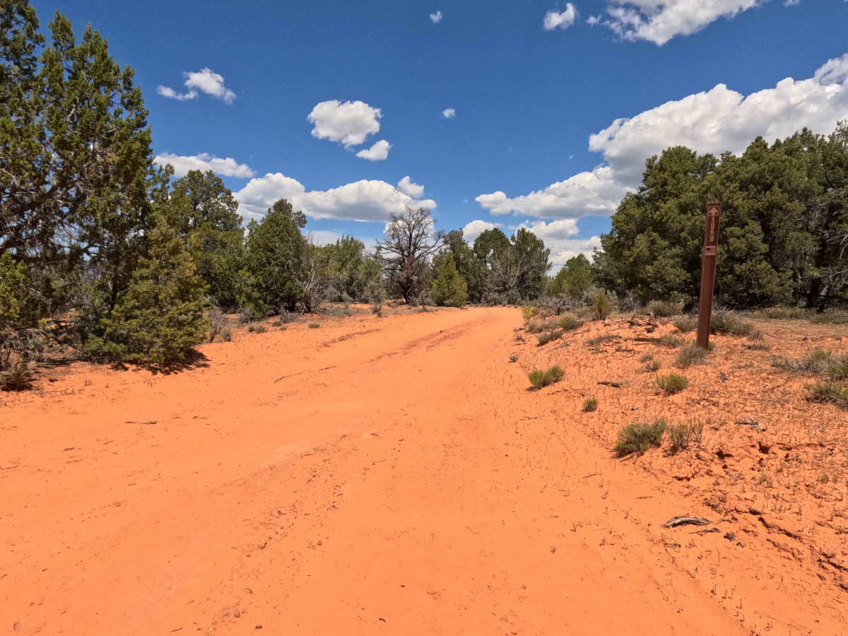 BLM 106W photo 3
