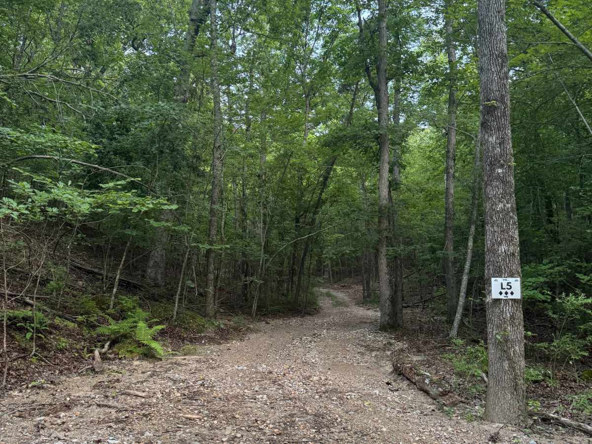 L5 Fox Run photo 6